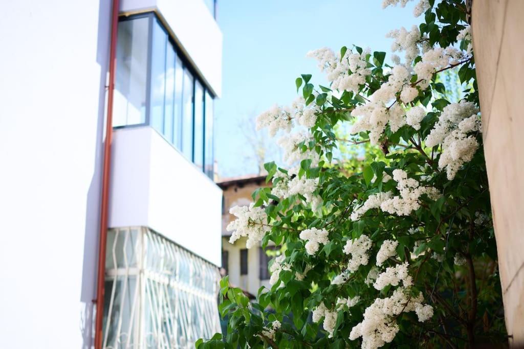 Central Old Town Oasis - Ap 6 Bukarest Exteriör bild